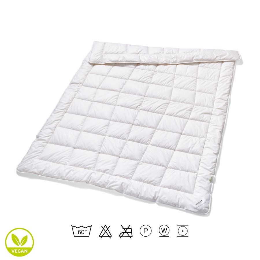 Keine Abbildung zugeordnet 